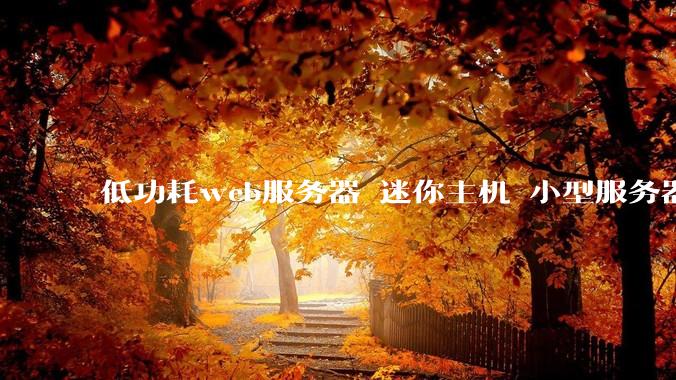 低功耗web服务器 迷你主机 小型服务器 求推荐？